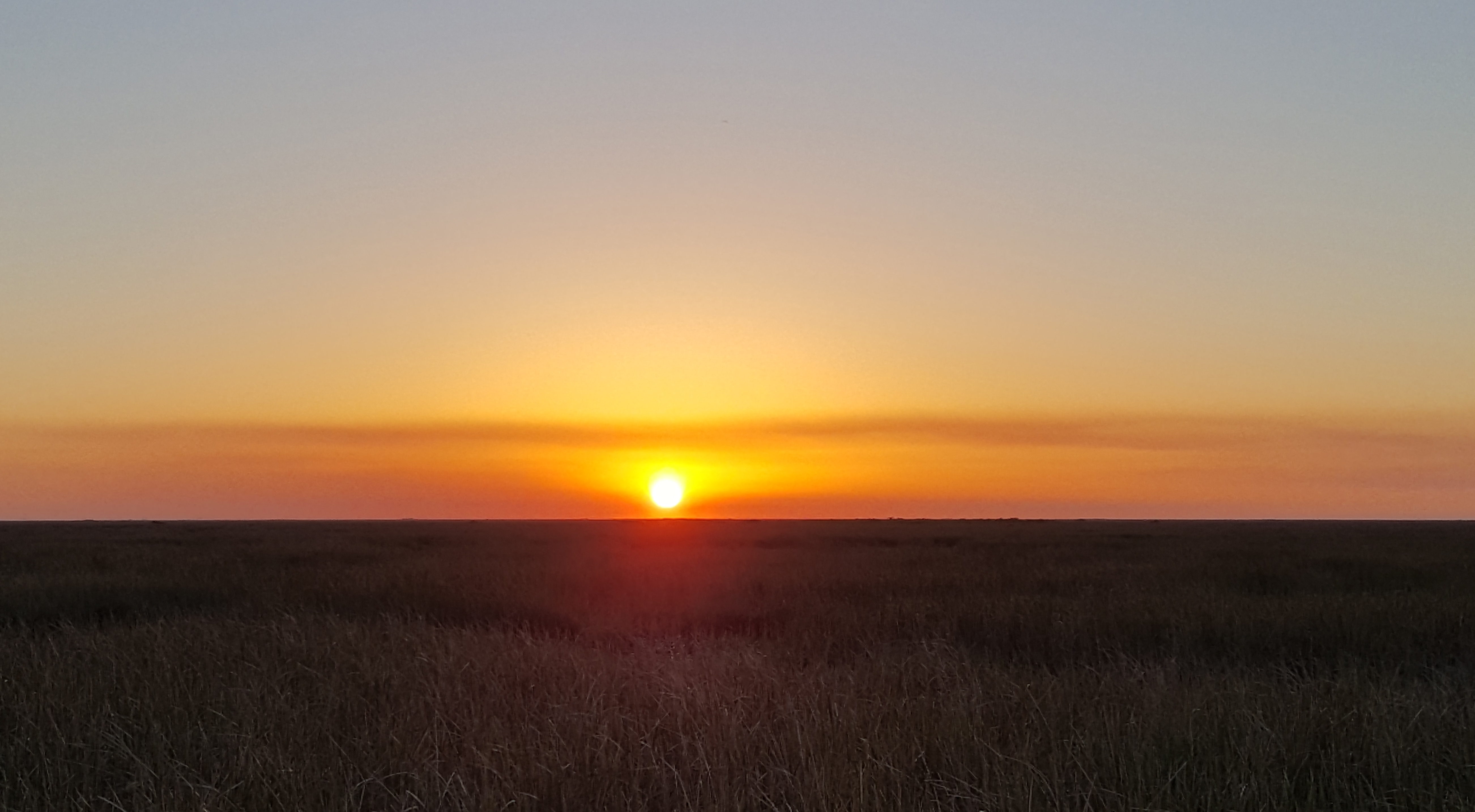 Florida Everglades Sunset