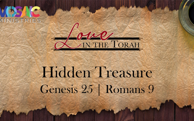 Hidden-Treasure_Genesis-Romans