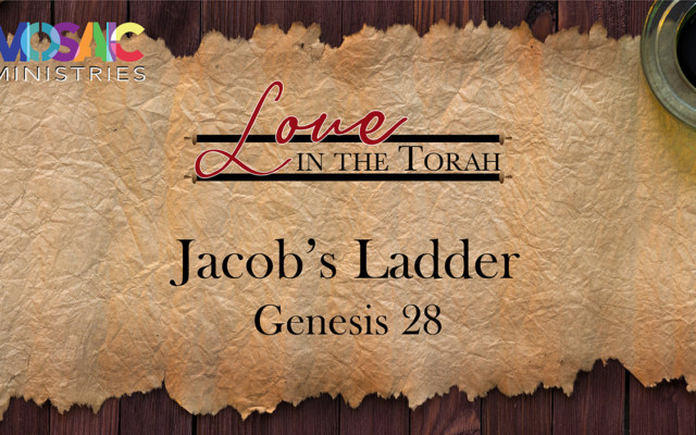 Jacobs-Ladder-Genesis-28